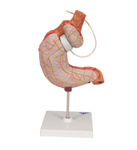 Primary Image Link