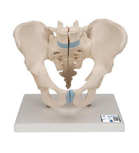 Primary Image Link