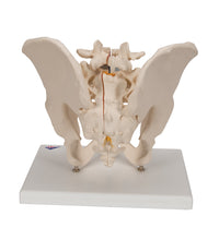 Primary Image Link
