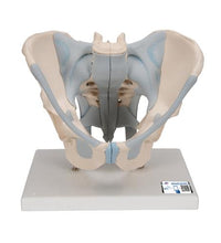 Primary Image Link