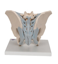 Primary Image Link