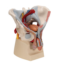 Primary Image Link