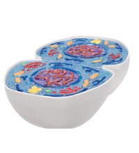 Primary Image Link
