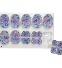 Primary Image Link