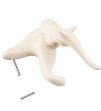 Primary Image Link