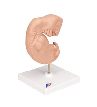 Primary Image Link