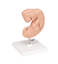 Primary Image Link