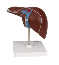 Primary Image Link