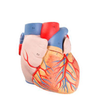 Primary Image Link
