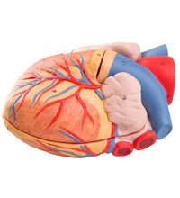 Primary Image Link