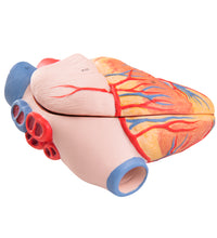 Primary Image Link