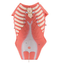 Primary Image Link