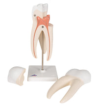 Primary Image Link