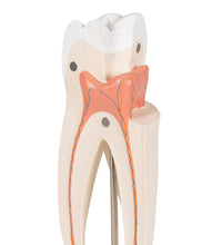 Primary Image Link