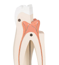 Primary Image Link