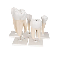 Primary Image Link