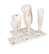 Primary Image Link