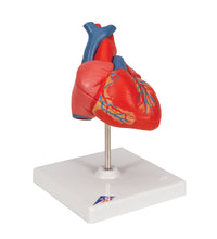 Primary Image Link