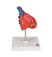 Primary Image Link