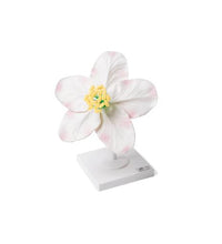 Primary Image Link