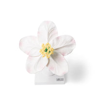 Primary Image Link