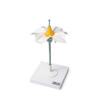 Primary Image Link