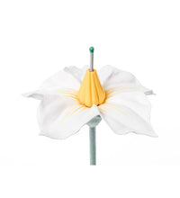 Primary Image Link