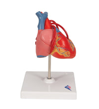 Primary Image Link