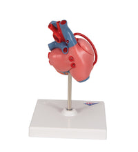 Primary Image Link