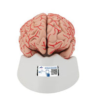 Primary Image Link