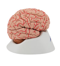 Primary Image Link