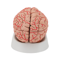 Primary Image Link