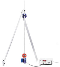 Primary Image Link