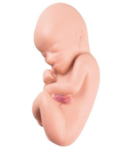 Primary Image Link