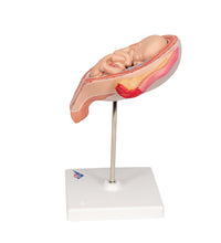 Primary Image Link