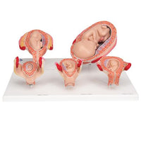Primary Image Link
