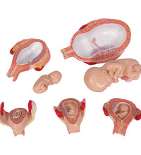 Primary Image Link