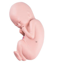 Primary Image Link