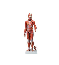 Primary Image Link