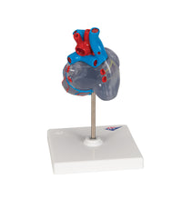 Primary Image Link