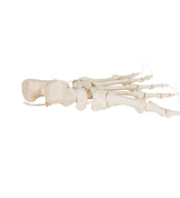 Primary Image Link