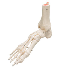 Primary Image Link