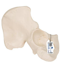 Primary Image Link