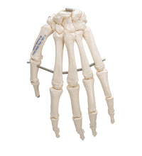Primary Image Link