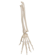 Primary Image Link