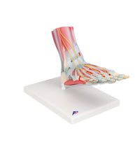 Primary Image Link