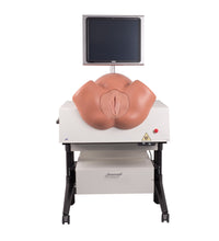 Primary Image Link