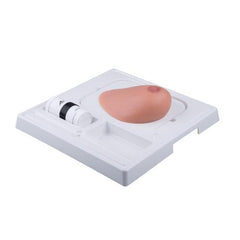 SONOtrain Breast model with tumours