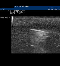 Primary Image Link