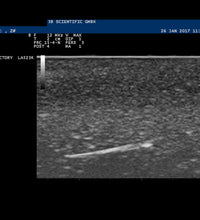 Primary Image Link